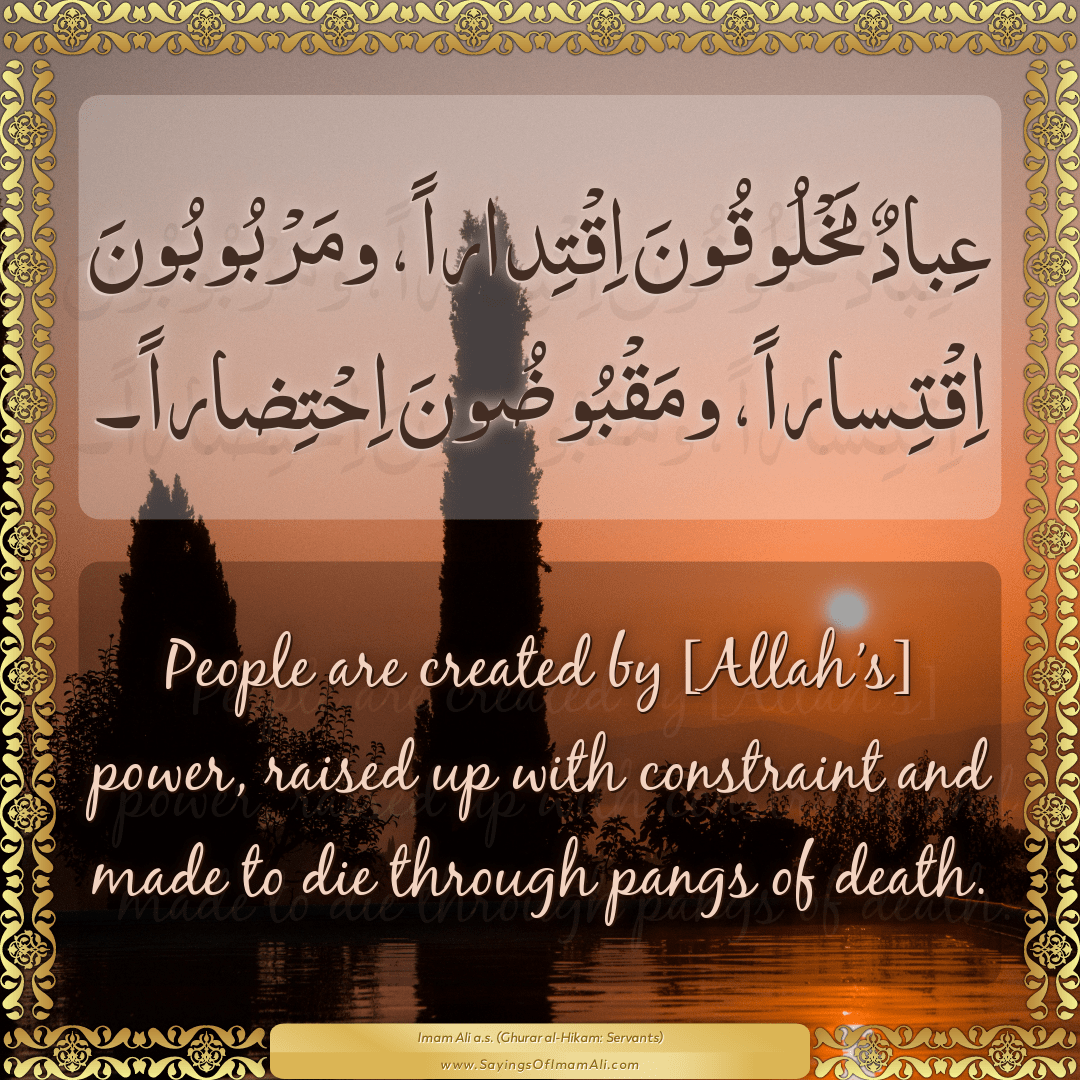 People are created by [Allah’s] power, raised up with constraint and...